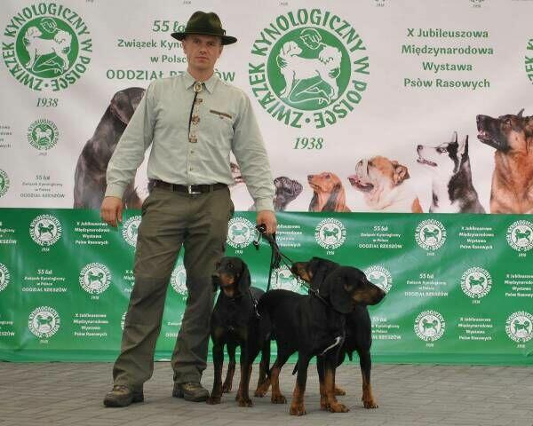GOŃCZE POLSKIE reproduktory użytkowe zapraszają