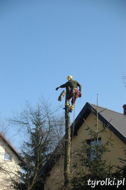 Alpinistyczna Wycinka Drzew w miejscach trudno dostępnych