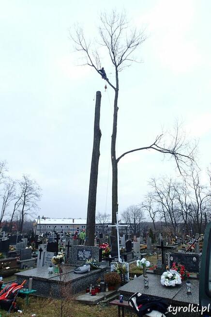 Alpinistyczna Wycinka Drzew w miejscach trudno dostępnych