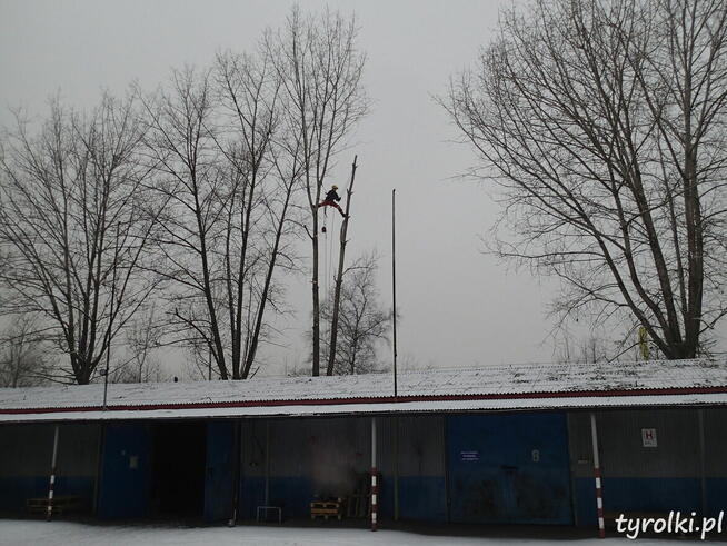 Alpinistyczna Wycinka Drzew w miejscach trudno dostępnych