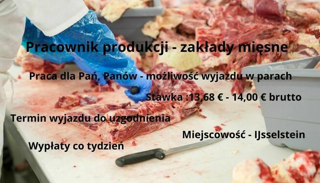 Pracownik produkcji - zakłady mięsne w IJsselstein