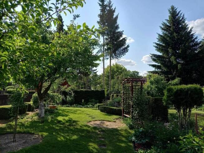 *Działka ROD* Zalesiany Niewodnica Kościelna