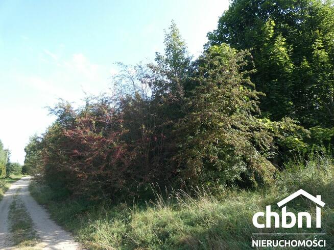 Działka w ustronnym zakątku Charzyków