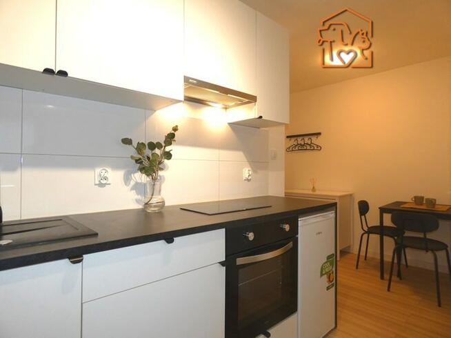 Wynajmę jasne 2 pokoje pet friendly, Wolności 302