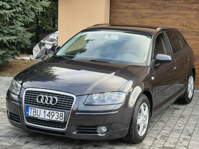 Audi A3 2007r, 1.9TDI 105KM, Org. Lakier, Nowy Rozrząd, Nowy Dwumas