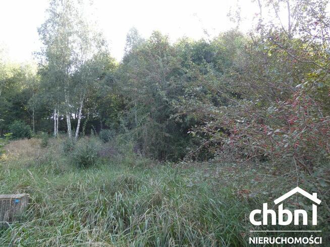 Działka w ustronnym zakątku Charzyków
