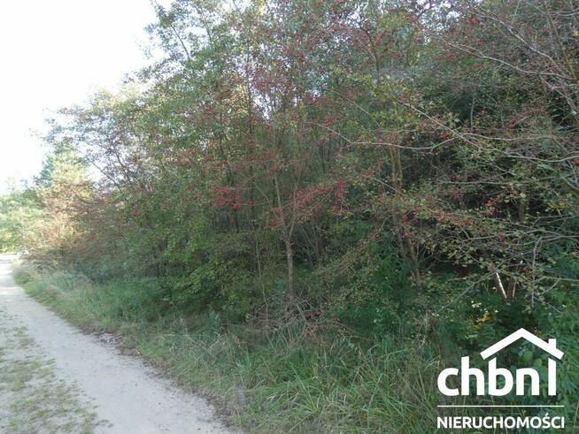 Działka w ustronnym zakątku Charzyków