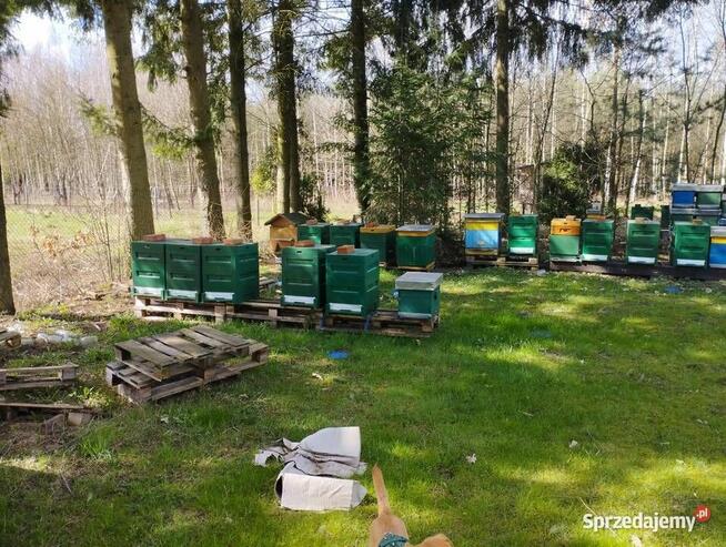 STYRODUR NA ULE XPS 700Kpa - 4cm - KRAWĘDŻ PROSTA