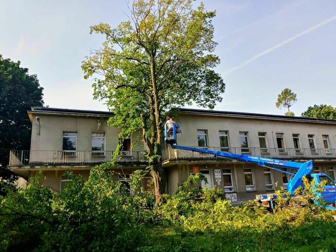Wycinka i Pielęgnacja drzew. Podnośnik Koszowy! Rębak!
