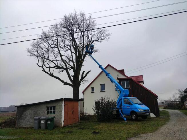Wycinka i Pielęgnacja drzew. Podnośnik Koszowy! Rębak!