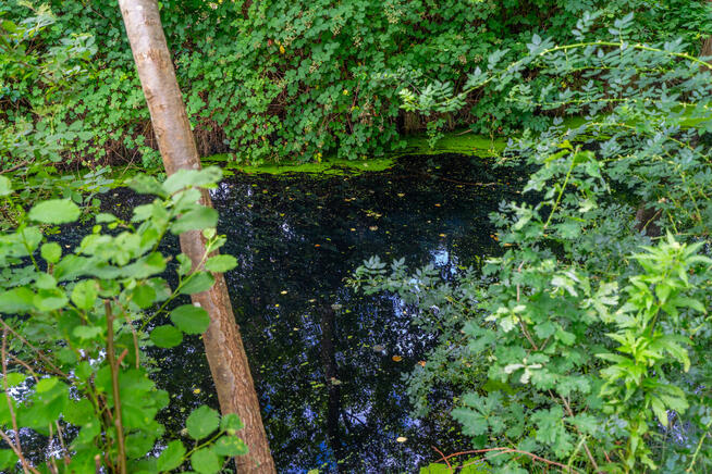 Nowa niższa cena. Działka nad morzem tylko 159000 zł