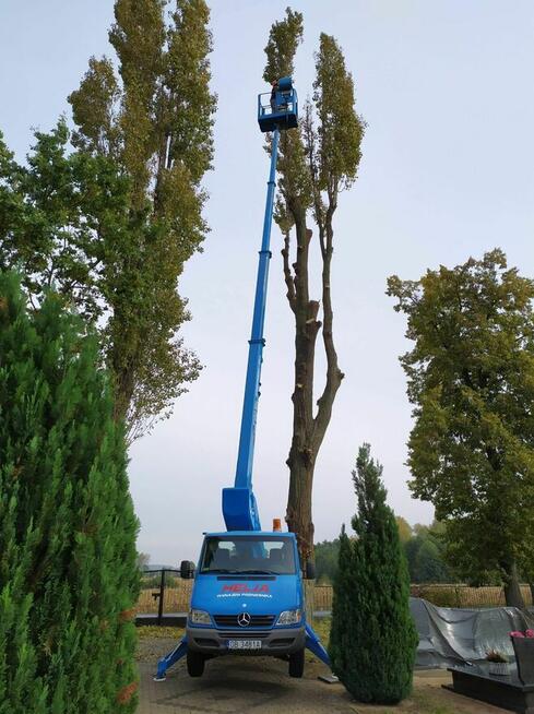 Wycinka i Pielęgnacja drzew. Podnośnik Koszowy! Rębak!