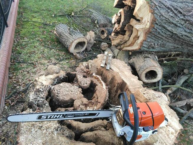 Wycinka i Pielęgnacja drzew. Podnośnik Koszowy! Rębak!
