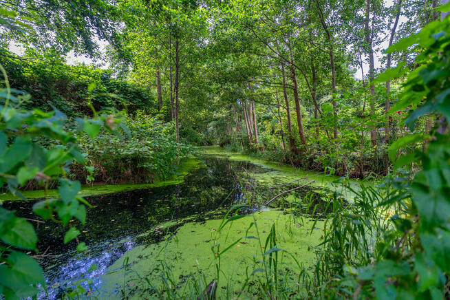 Nowa niższa cena. Działka nad morzem tylko 159000 zł