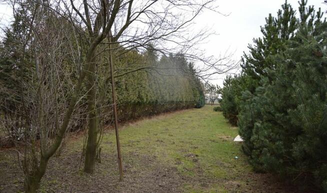 Trzy przyległe działki w Jankach: 6676m2, 3260m2, 2956m2