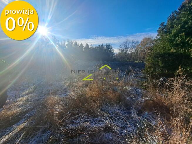 Hala magazynowa Słone