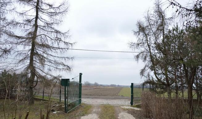 Trzy przyległe działki w Jankach: 6676m2, 3260m2, 2956m2