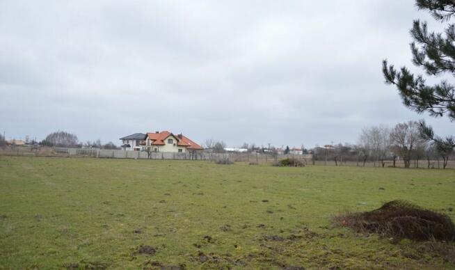 Trzy przyległe działki w Jankach: 6676m2, 3260m2, 2956m2