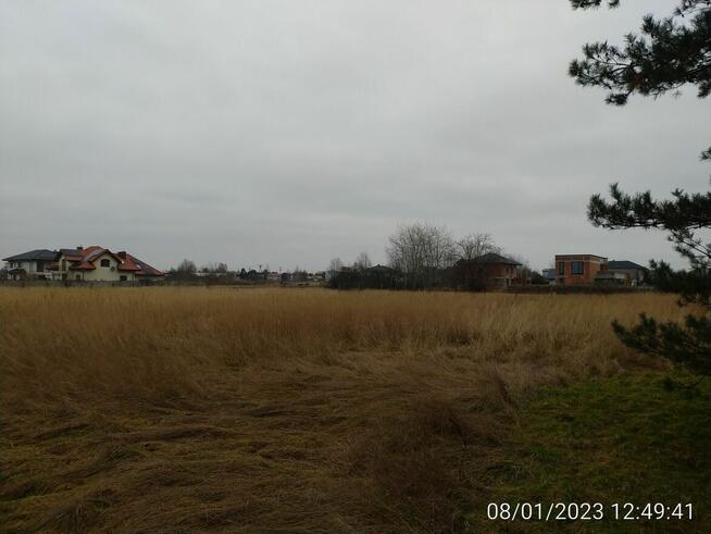 Trzy przyległe działki w Jankach: 6676m2, 3260m2, 2956m2