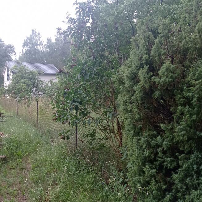 Działka budowlana Klotyldzin gm. Margonin