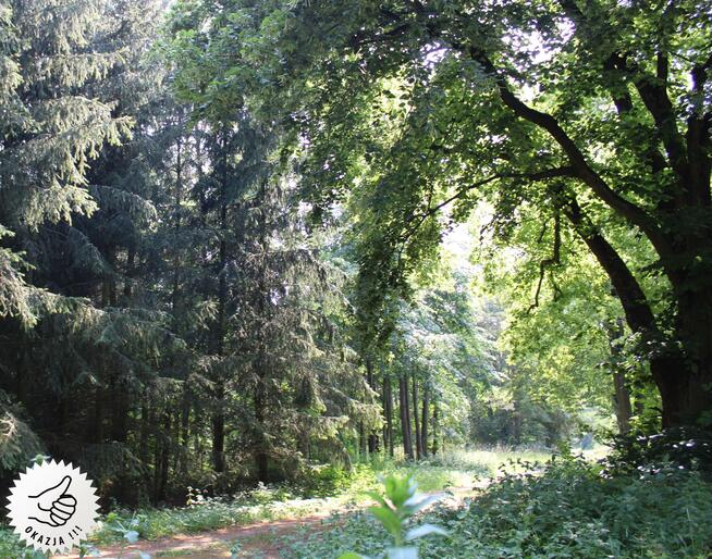 Działka budowlana Klotyldzin gm. Margonin