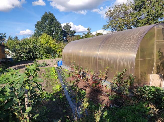 Rod Westerplatte. Paluch Miejski