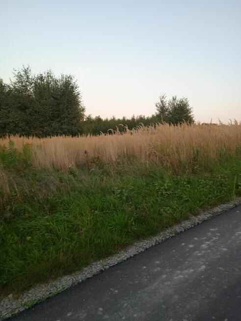 Laskówka budowlana piękne widoki na wzgórzu gmina Dynów