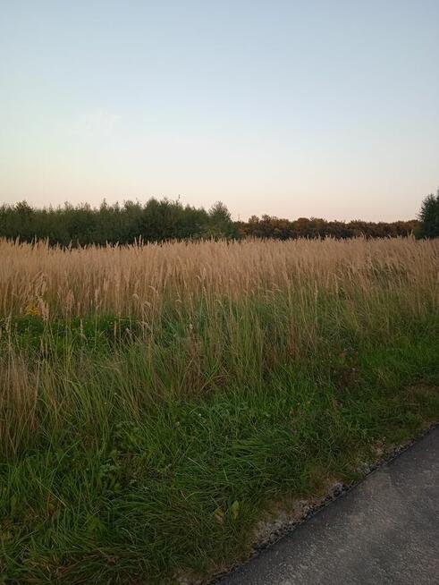 Laskówka budowlana piękne widoki na wzgórzu gmina Dynów