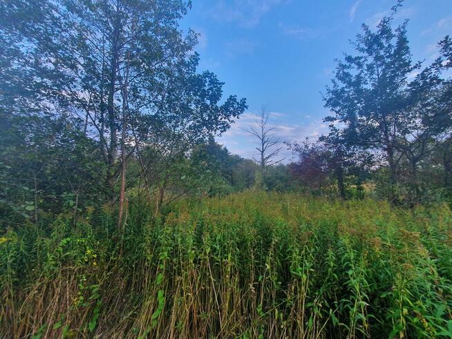 Działka budowlana Kąck gm. Wiązowna