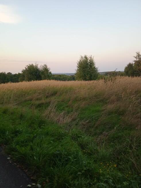 Laskówka budowlana piękne widoki na wzgórzu gmina Dynów