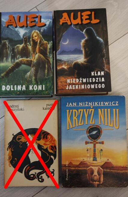 Auel, Niżnikiewicz - pakiet 2 książek fantasy