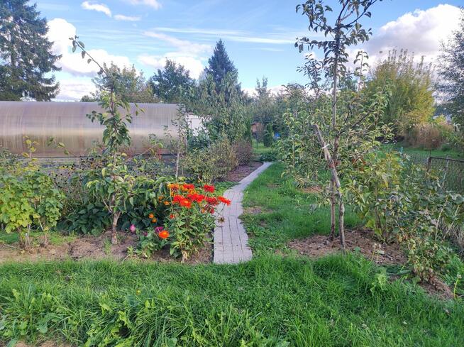 Rod Westerplatte. Paluch Miejski