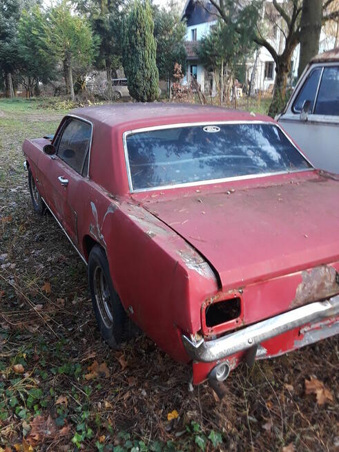 Auta, motory, łodzie i inne maszyny z USA na zamówienie