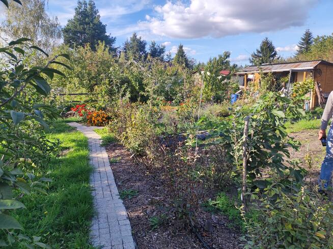 Rod Westerplatte. Paluch Miejski