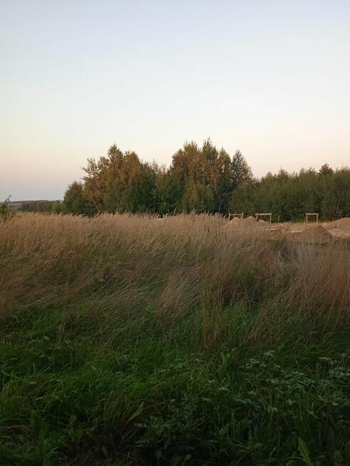 Laskówka budowlana piękne widoki na wzgórzu gmina Dynów