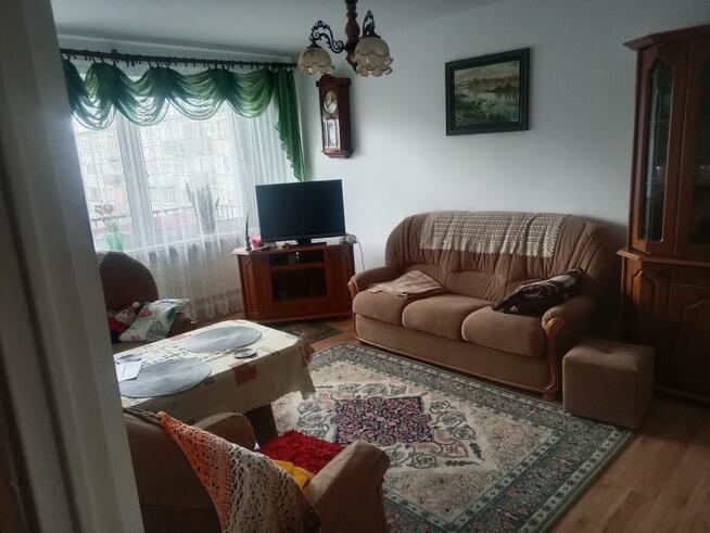 Sprzedam Mieszkanie 53.5 m2 w Rypinie