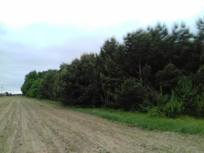 50 KM OD ŁODZI 3500 M2