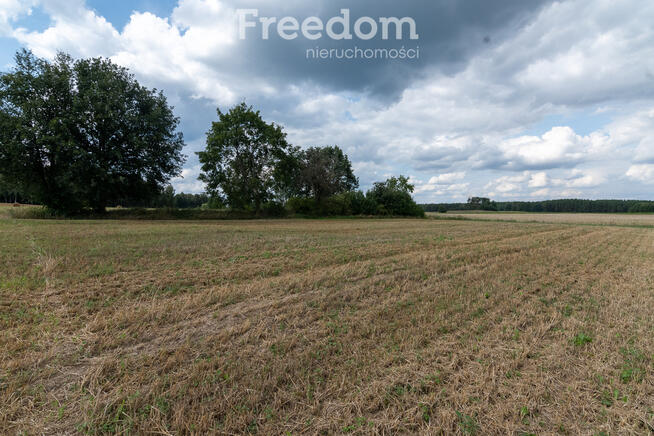 Atrakcyjna działka budowlana w Brodnej