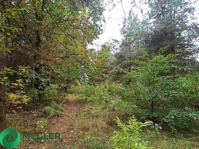 Działka z dobrym dojazdem do Warszawy S8