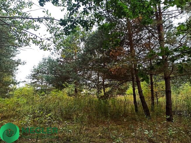 Działka z dobrym dojazdem do Warszawy S8