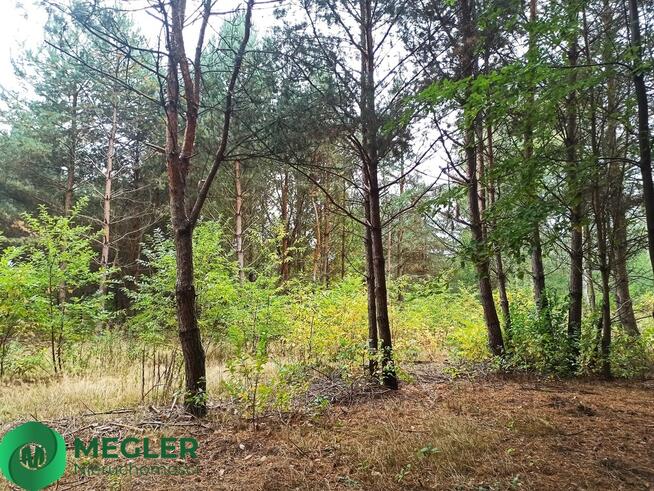 Działka z dobrym dojazdem do Warszawy S8