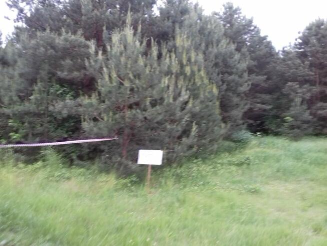 50 KM OD ŁODZI 3500 M2