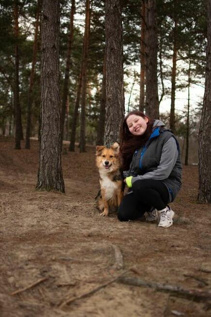 Dunkan- pozytywny, pełen energii młody psiak do adopcji