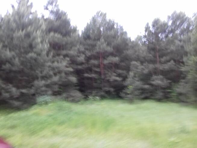 50 KM OD ŁODZI 3500 M2