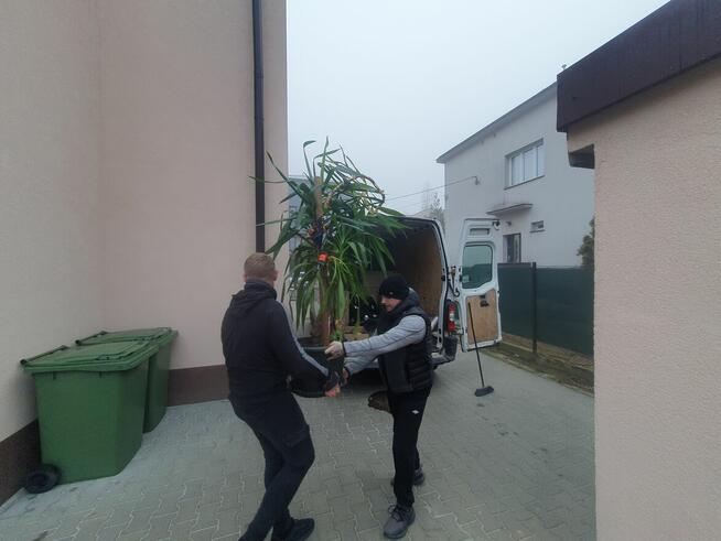 Przeprowadzki i transport