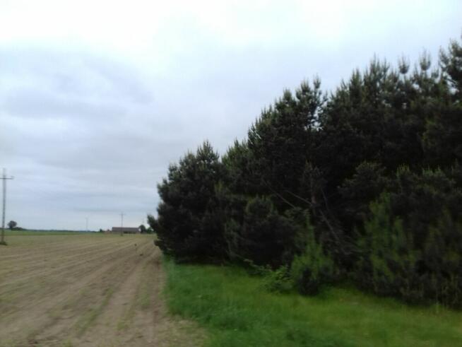 50 KM OD ŁODZI 3500 M2