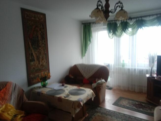 Sprzedam Mieszkanie 53.5 m2 w Rypinie