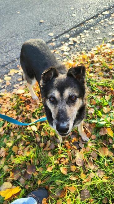 Czy do Bosmana w końcu uśmiechnie się los?