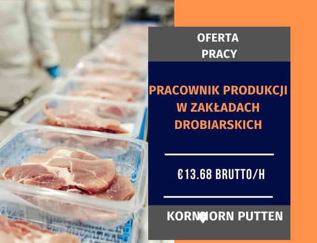 Pracownik produkcji - zakłady mięsne w IJsselstein