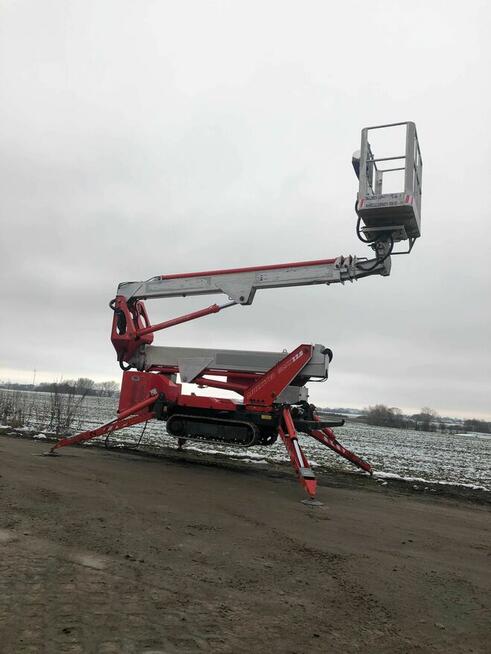 Podnośnik koszowy, nożycowy, Gniezno, Mogilno, wycinka